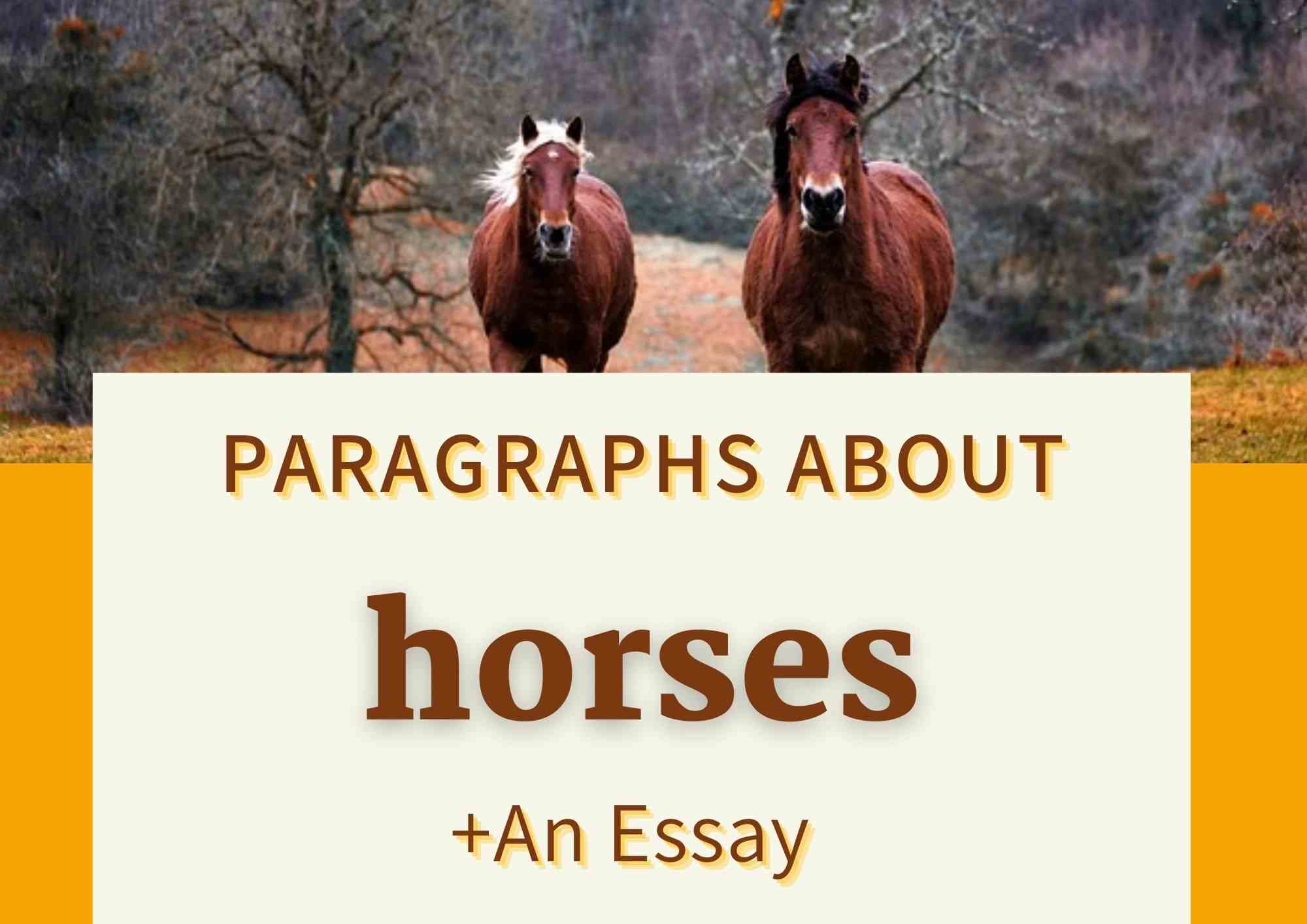 essay paragraph about horses