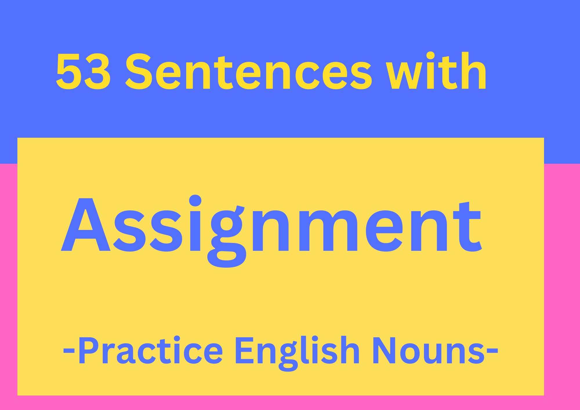 what is assignment in a sentence